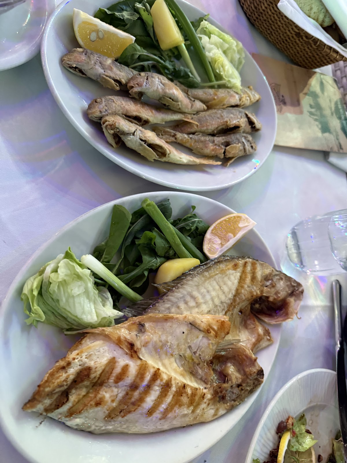 Balikci Sabahattin photo 4