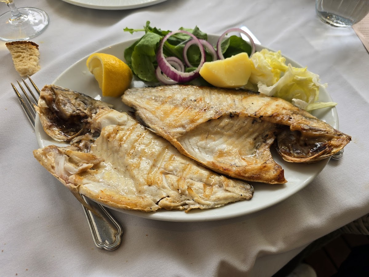 Balikci Sabahattin photo 3