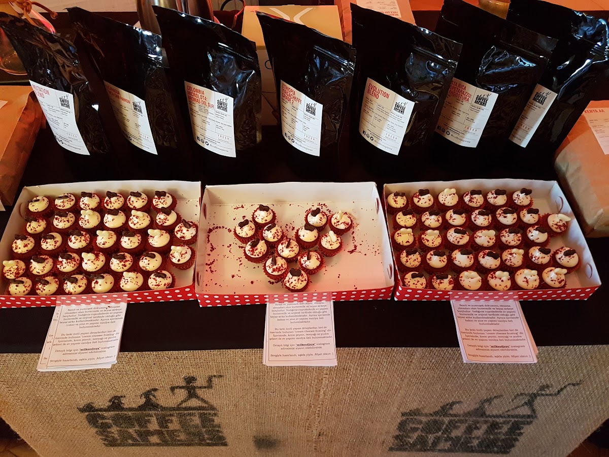 Coffee Sapiens photo 1