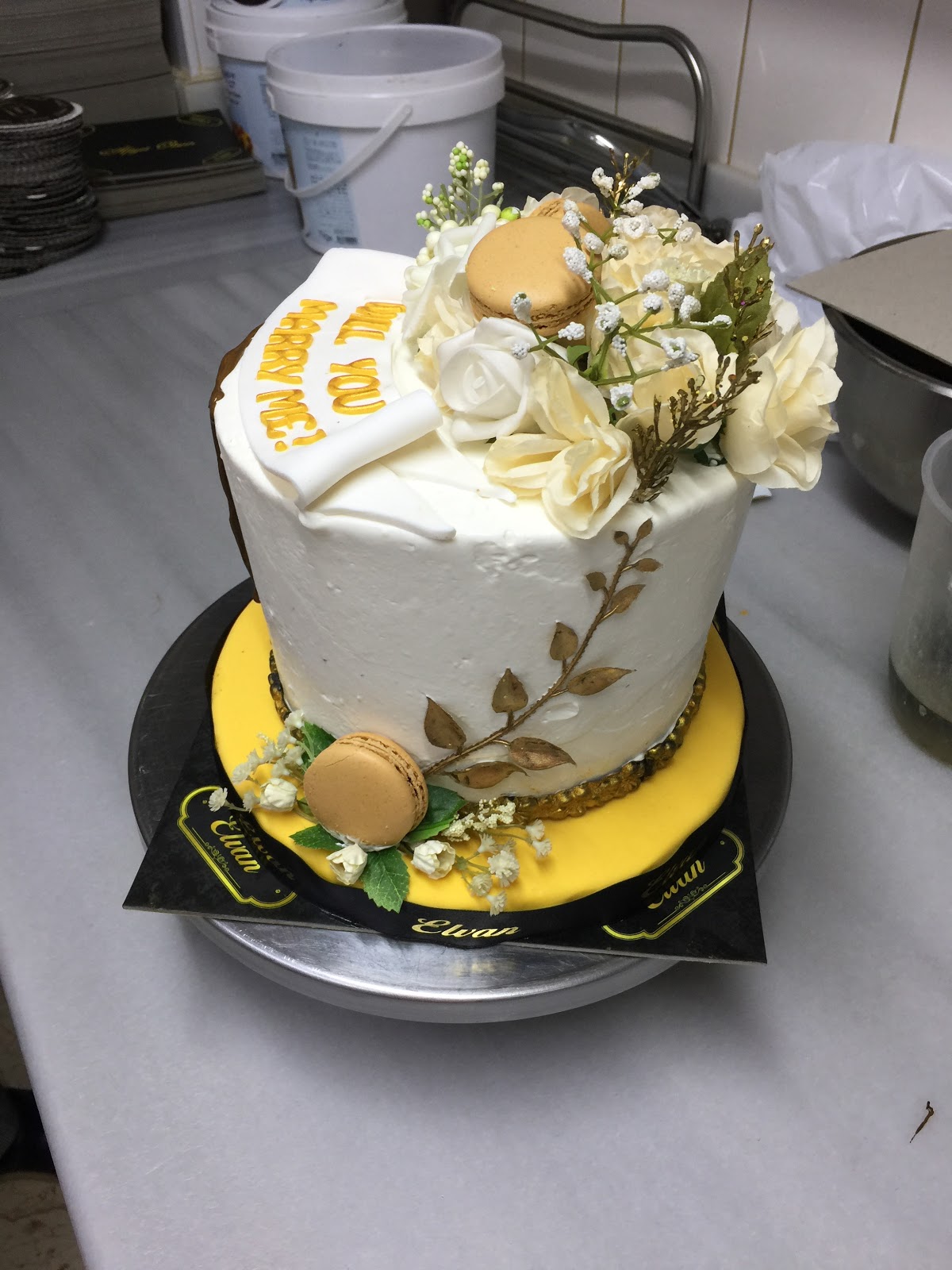 Elvan Pastanesi photo 1