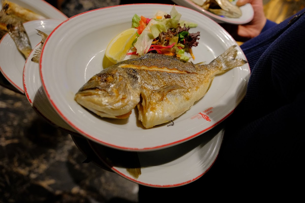 Galata Nergis Balık photo 2