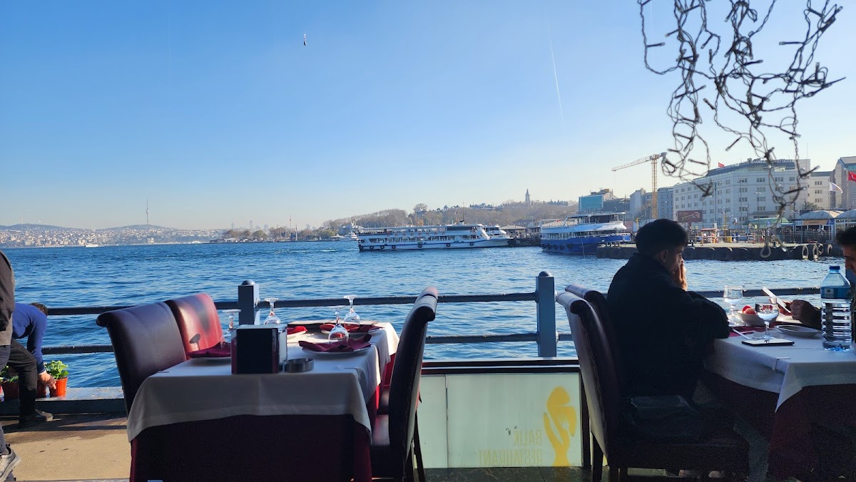 Galata Nergis Balık photo 3