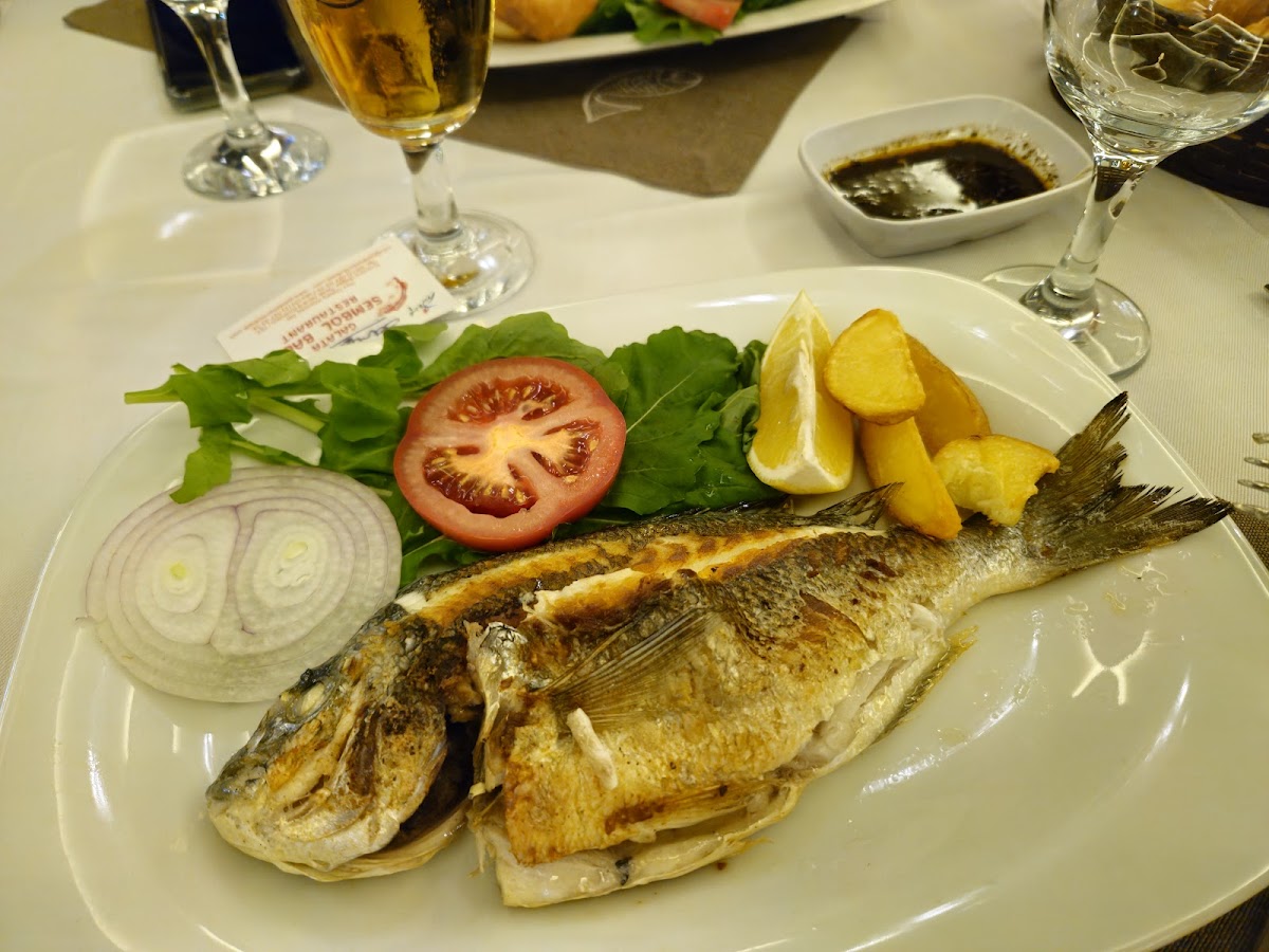 Galata Symbol Fish photo 6