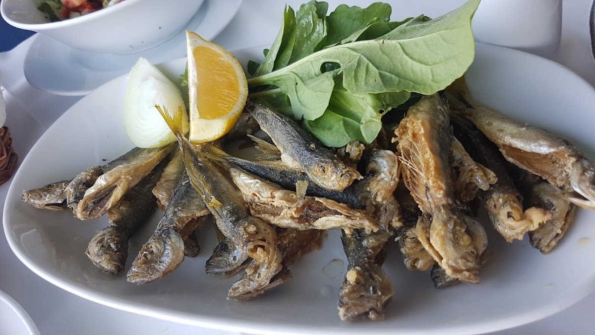 Kupa bar ve restorant photo 5