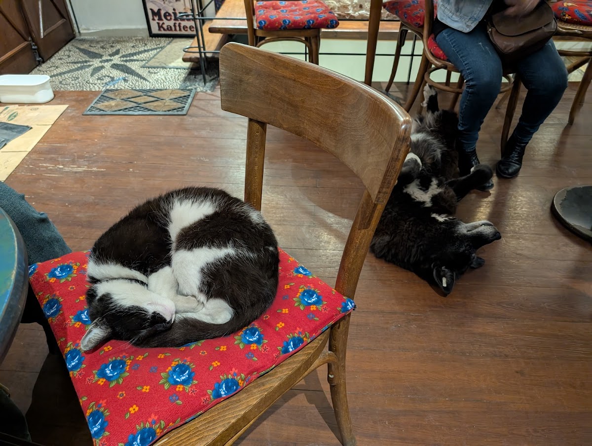 Mitara Cafe & Art photo 6