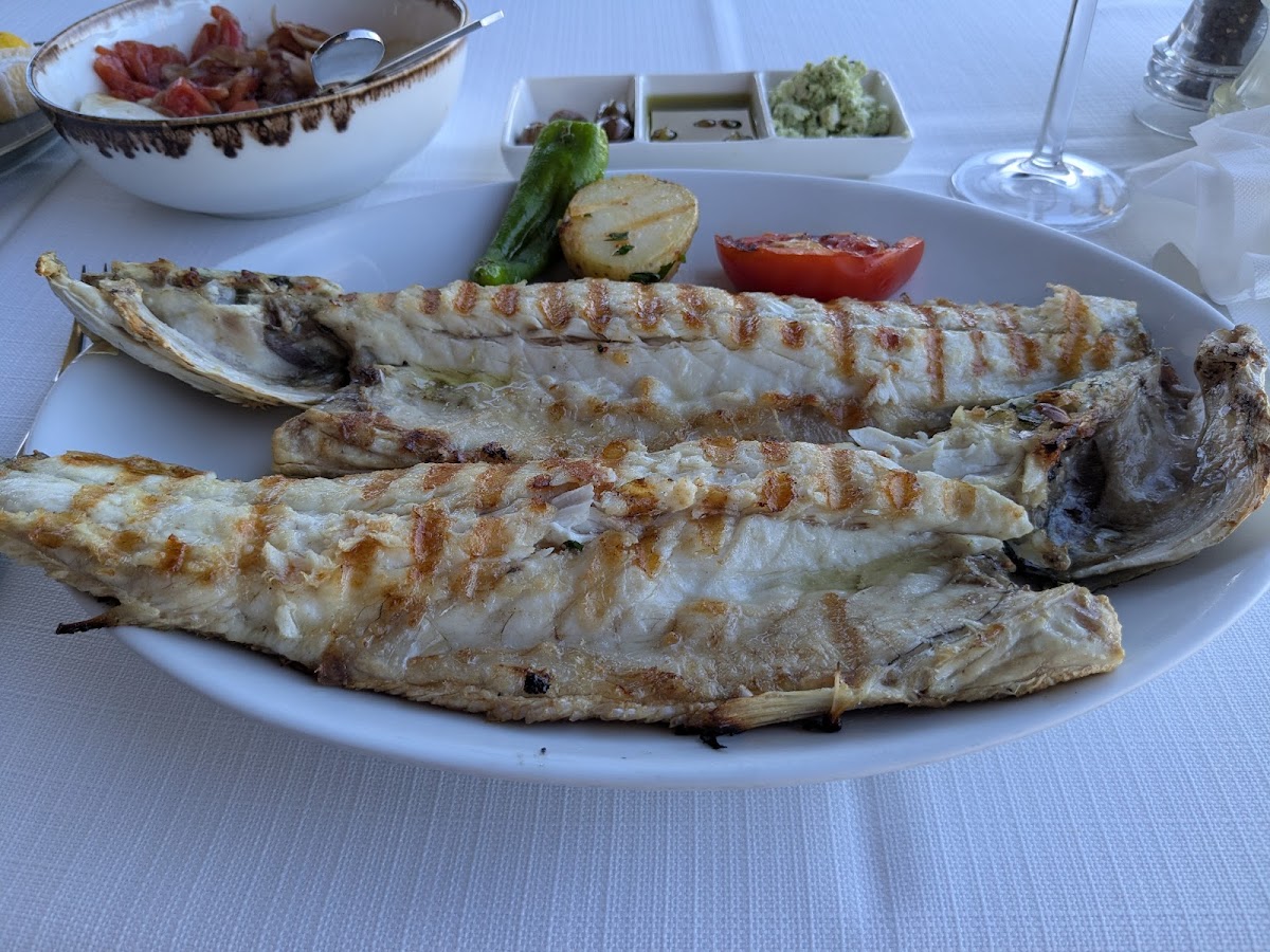 Sur Balık Restoran Cihangir photo 1