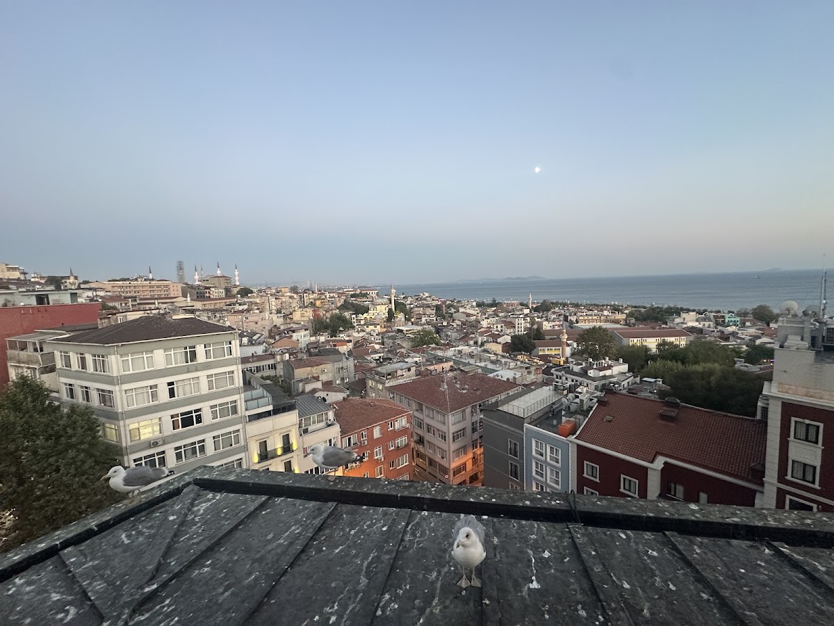 Zeferan Sultanahmet photo 4